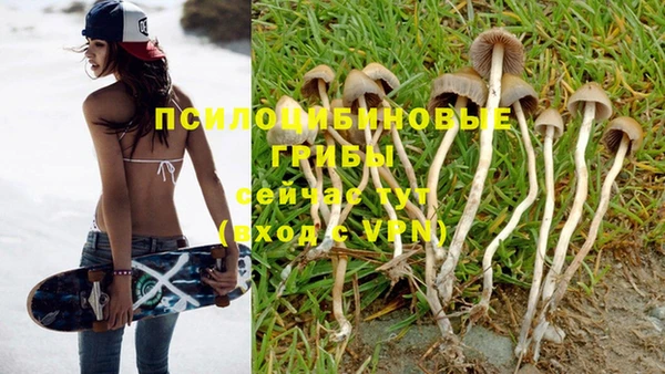 мет Михайловск