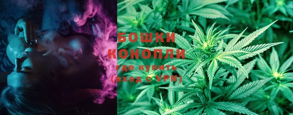 тгк Мегион