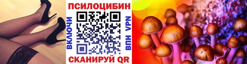 Галлюциногенные грибы Psilocybe  Опочка 
