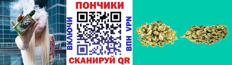 Канабис индика Опочка